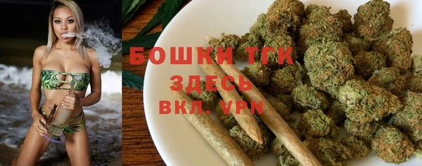 тгк Алексин